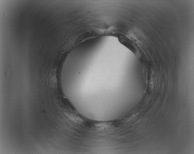 X0000073840516200608241020