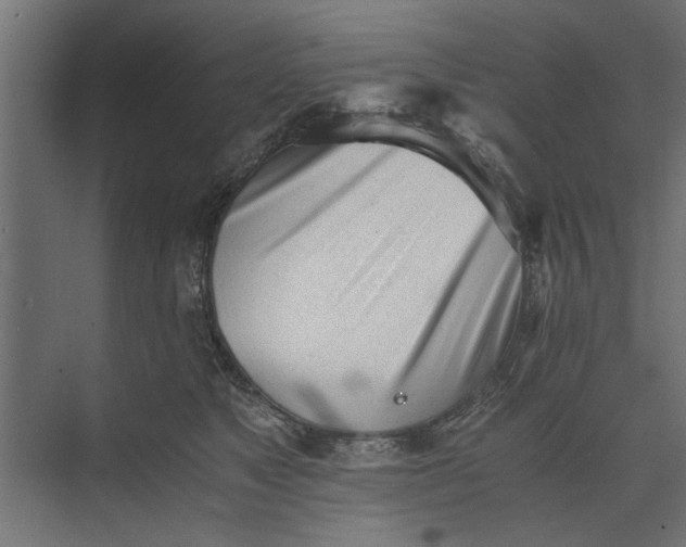 X0000073840517200608241020