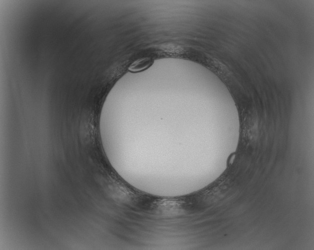 X0000073840518200608241020