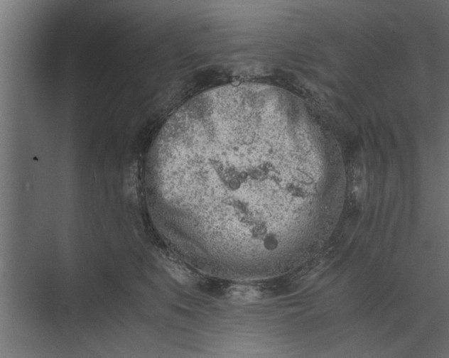 X0000073840519200608241020