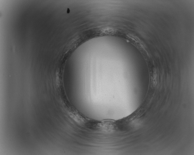 X0000073840520200608241020