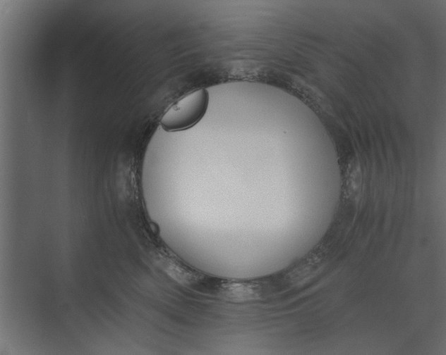 X0000073840522200608241020