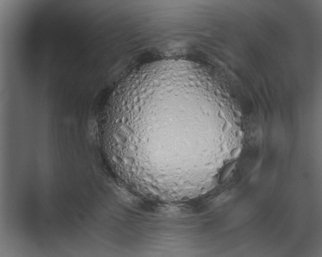 X0000073840523200608241020