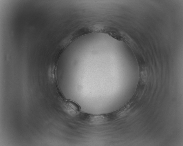 X0000073840525200608241020