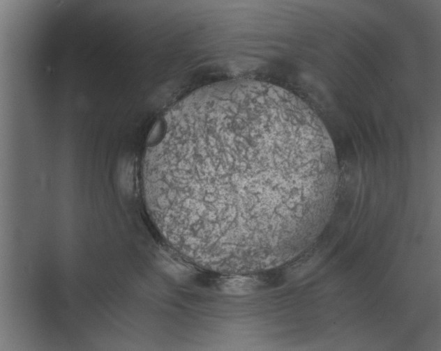 X0000073840527200608241020