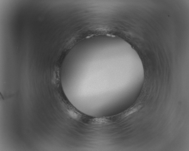 X0000073840528200608241020