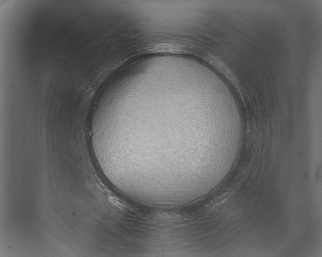 X0000073840529200608241019