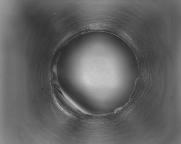 X0000073840530200608241019