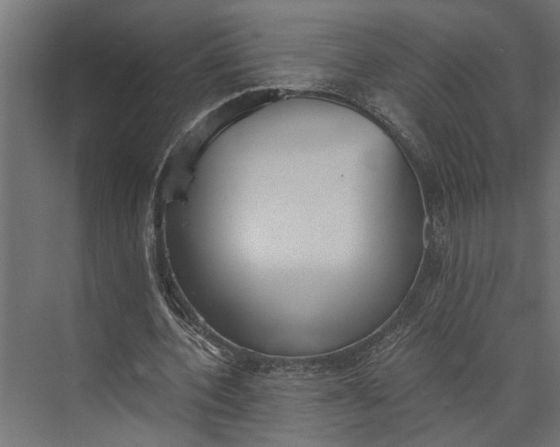 X0000073840532200608241019