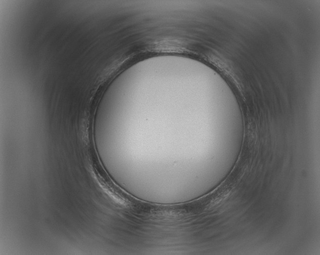 X0000073840533200608241019