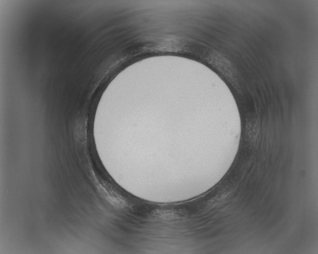 X0000073840534200608241019