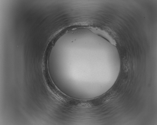 X0000073840536200608241019