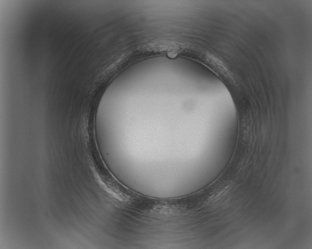 X0000073840538200608241019