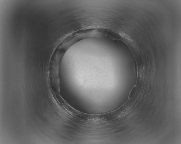 X0000073840540200608241019