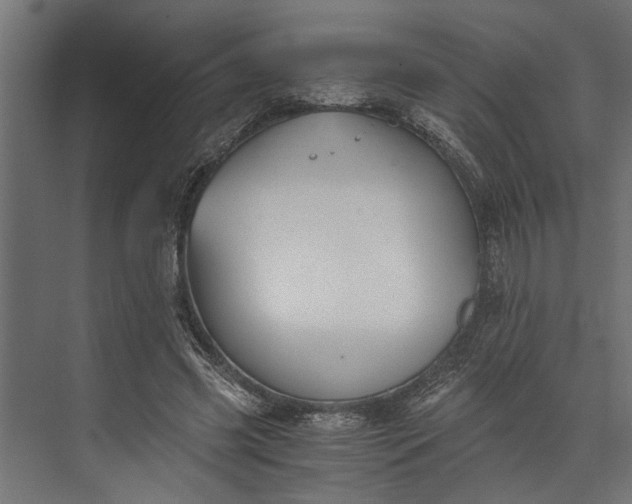 X0000073840541200608241019