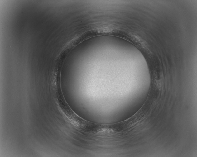 X0000073840543200608241019