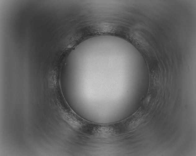 X0000073840546200608241019