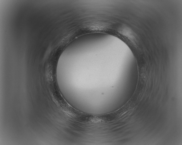 X0000073840547200608241019