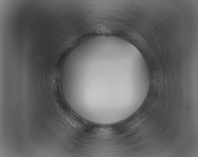 X0000073840548200608241019