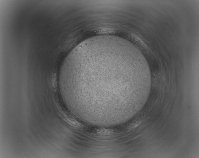 X0000073840549200608241019