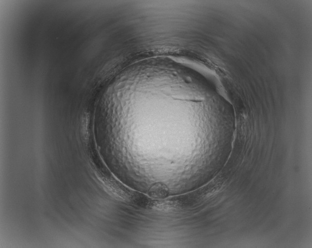 X0000073840550200608241019