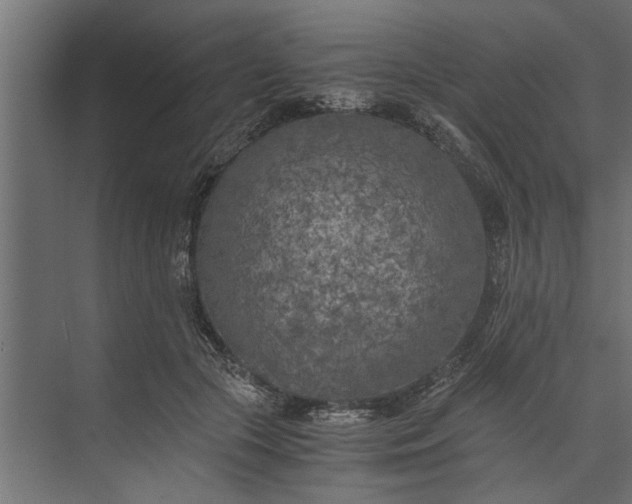 X0000073840553200608241019