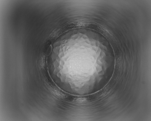 X0000073840554200608241019