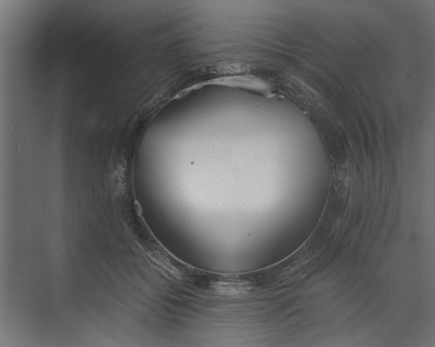 X0000073840556200608241019