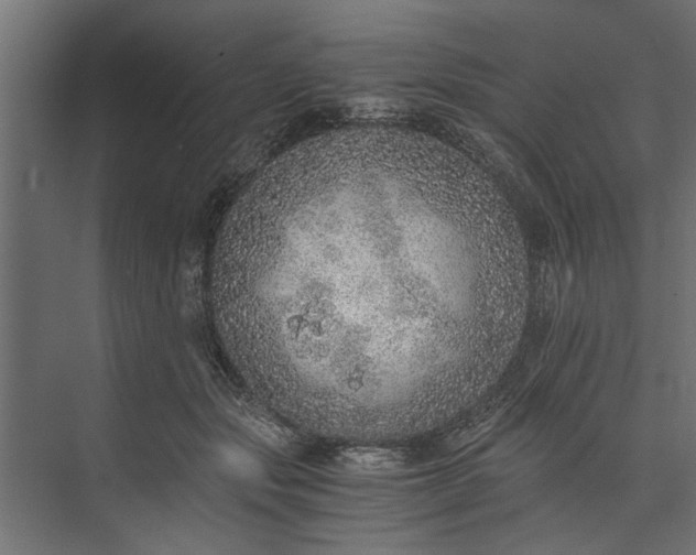 X0000073840557200608241019