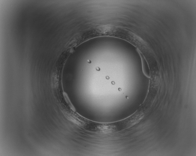 X0000073840558200608241020