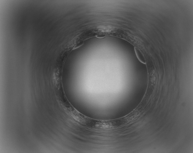 X0000073840559200608241020