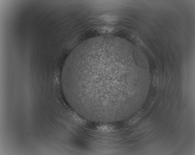 X0000073840561200608241020