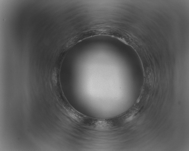 X0000073840562200608241020