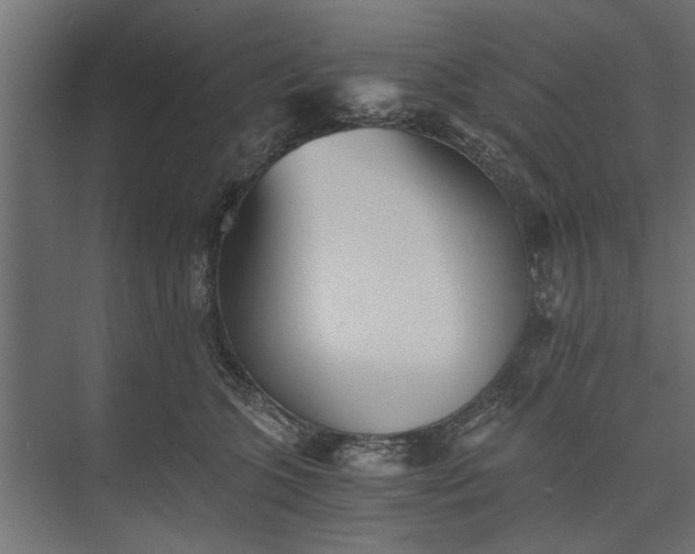 X0000073840563200608241020