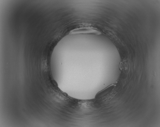 X0000073840564200608241020