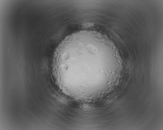 X0000073840565200608241020