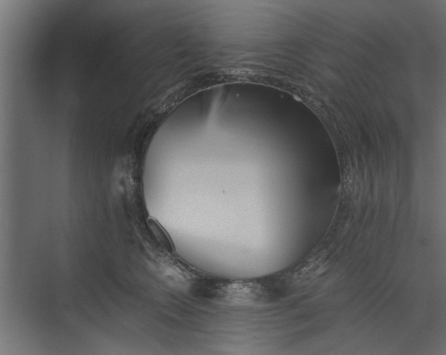 X0000073840566200608241020