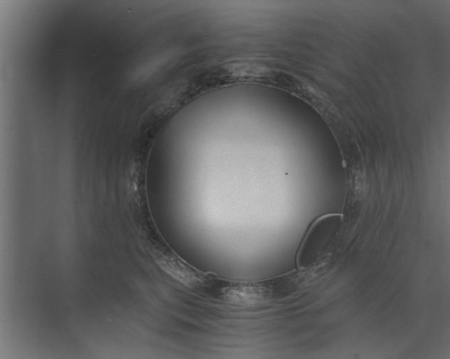 X0000073840567200608241020