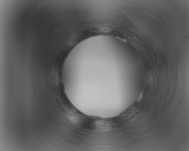 X0000073840568200608241020