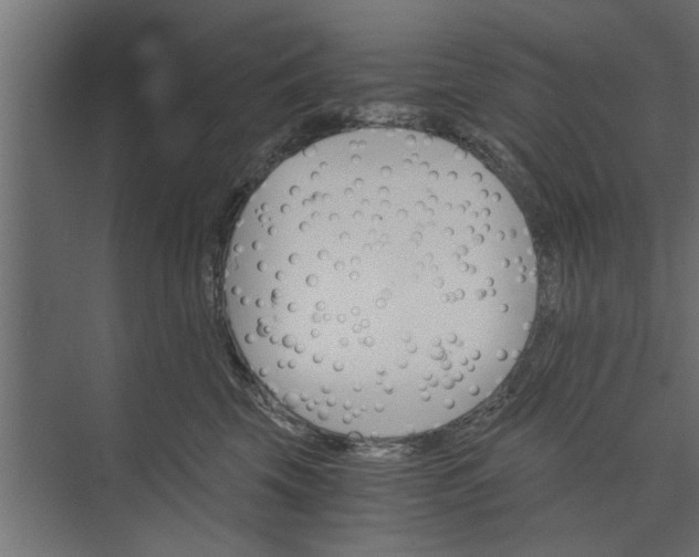 X0000073840569200608241020