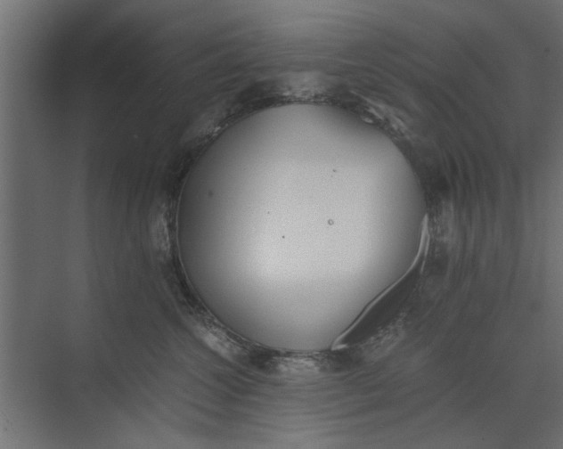 X0000073840572200608241020