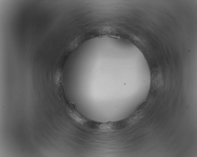 X0000073840574200608241020