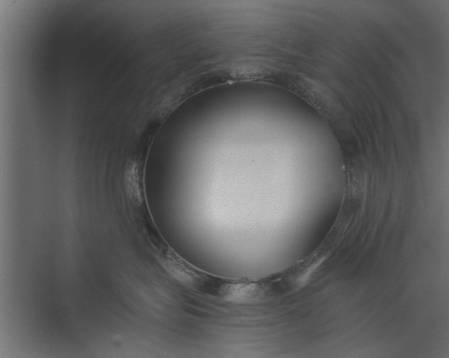 X0000073840575200608241020