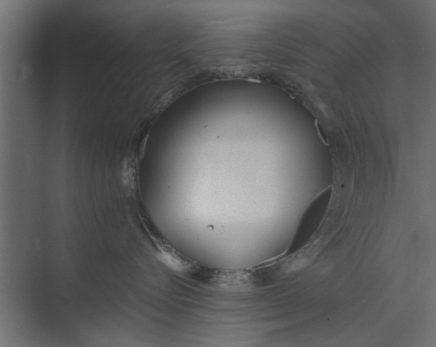 X0000073840576200608241020