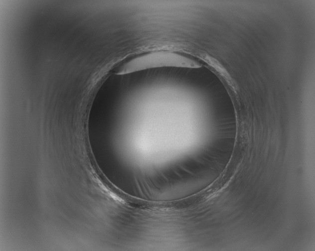 X0000073840577200608241019