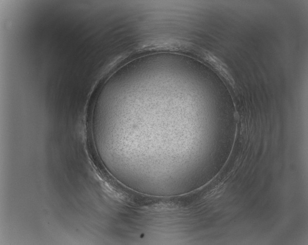 X0000073840578200608241019