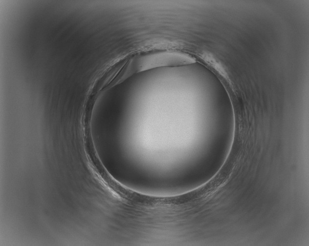 X0000073840581200608241019