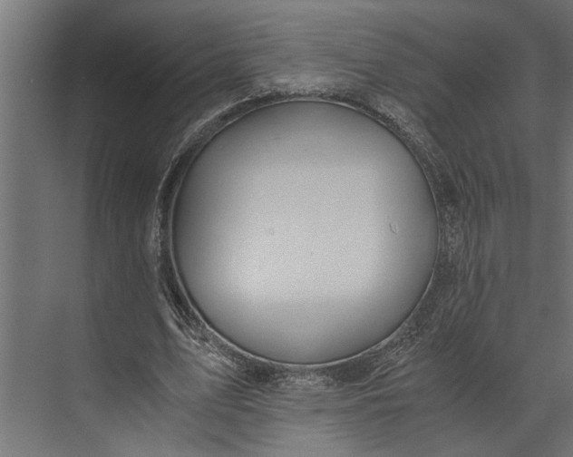 X0000073840583200608241019