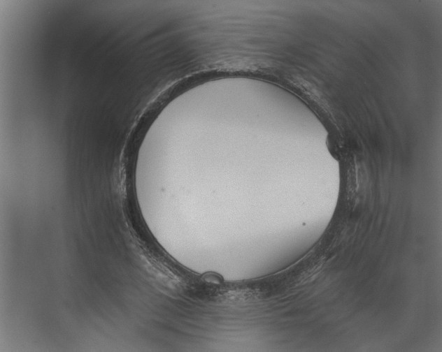 X0000073840584200608241019