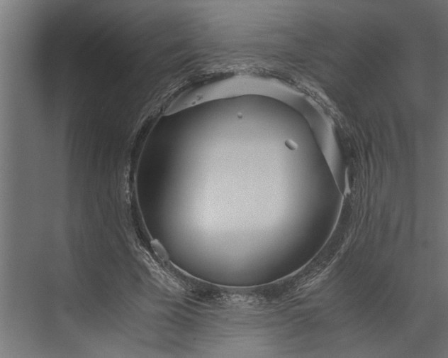 X0000073840585200608241019